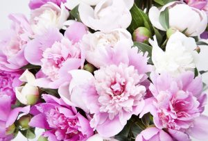 TCFS#6 Where is my wisdom & how d I get it back? Certified Advanced Transformative Coach® & Online Business Consultant for Impact-Driven Entrepreneurs