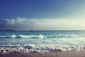 Entrepreneurship & The Three Principles With Jeanne Catherine Gray