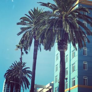 three principles podcast interview michael neill caroline frenette show