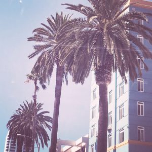 The Caroline Frenette Show Podcast iTunes Certified Advanced Transformative Coach, The Three Principles, Intuitive Business Coach & Online Business Consultant