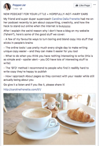 Suzanne Hoare Conversion Copywriting on the Caroline Frenette Show