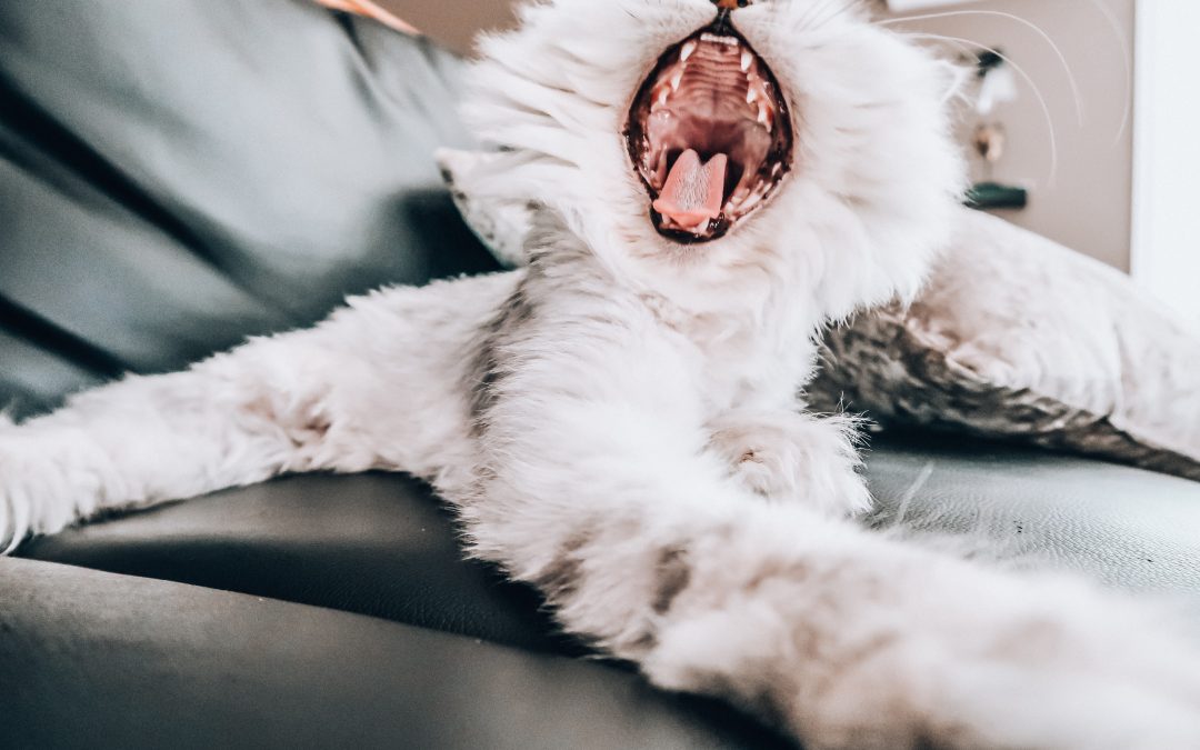 {PODCAST #67} Kim Kaase & Caroline Let Go Of The Pressure